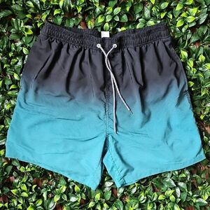 Men's Ombre Zigzag Performance Swim Trunks - US XL (Black to Teal)